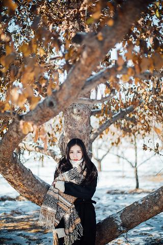 一区二区三区国产