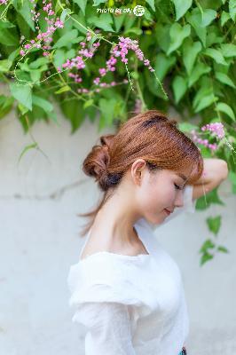 世子很凶插花弄玉主要讲什么内容